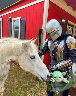 the mandalorian and child petting a white horse